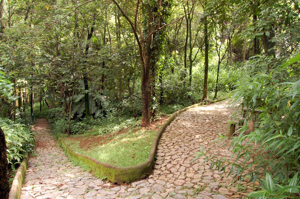 Parque Municipal Mata das Borboletas