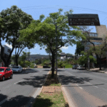 Justiça autoriza retomada das obras da ciclovia na Avenida Afonso Pena em BH