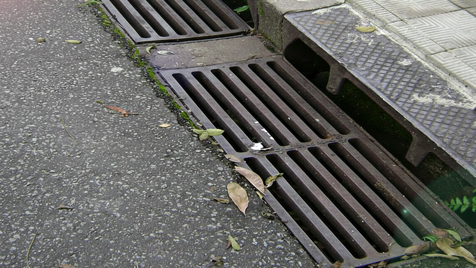 Prefeitura de Belo Horizonte realiza mutirão de limpeza e prevenção de enchentes no Barreiro