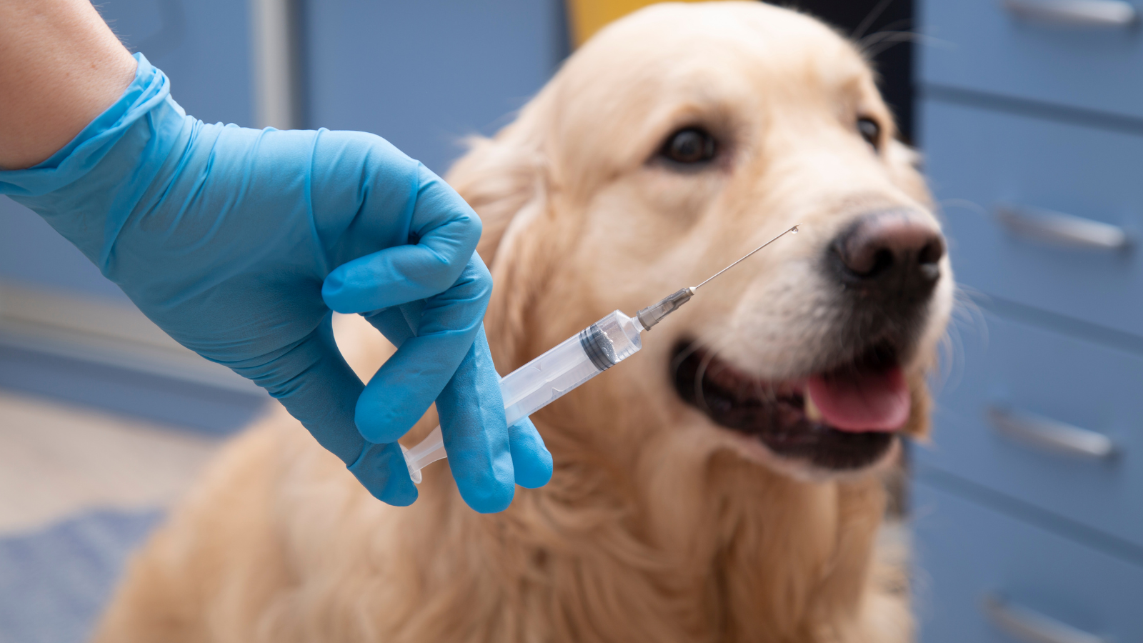 Prefeitura de Belo Horizonte realiza mutirão de limpeza e prevenção de enchentes no Barreiro